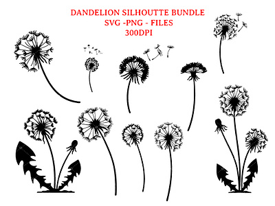 Dandelion Bundle
