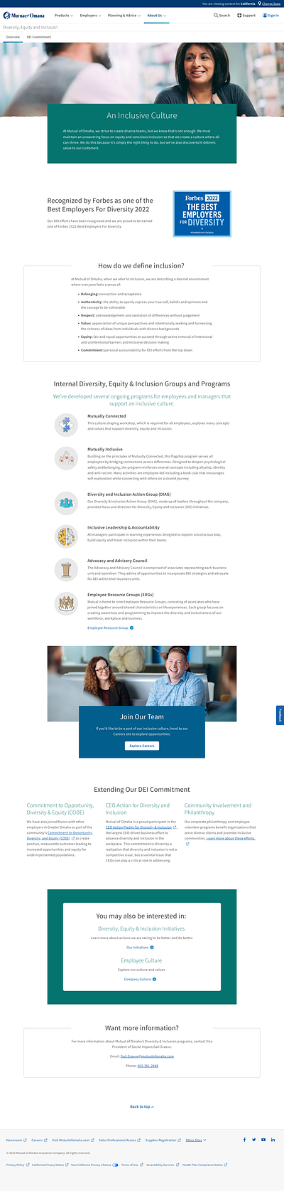 Diversity, Equity & Inclusion Pages design ui user experience user interface ux
