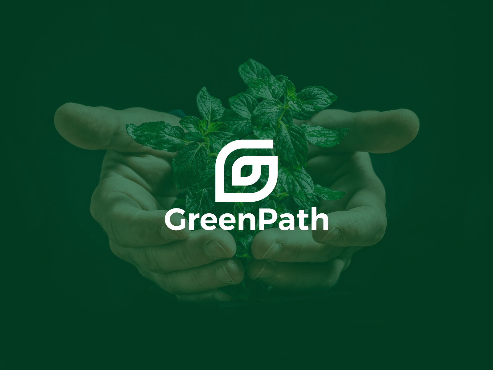 Letter G | Eco logo eco eco logo ecofriendly energy g logo global green leaf logo letter g minimal modern logo nature renewable