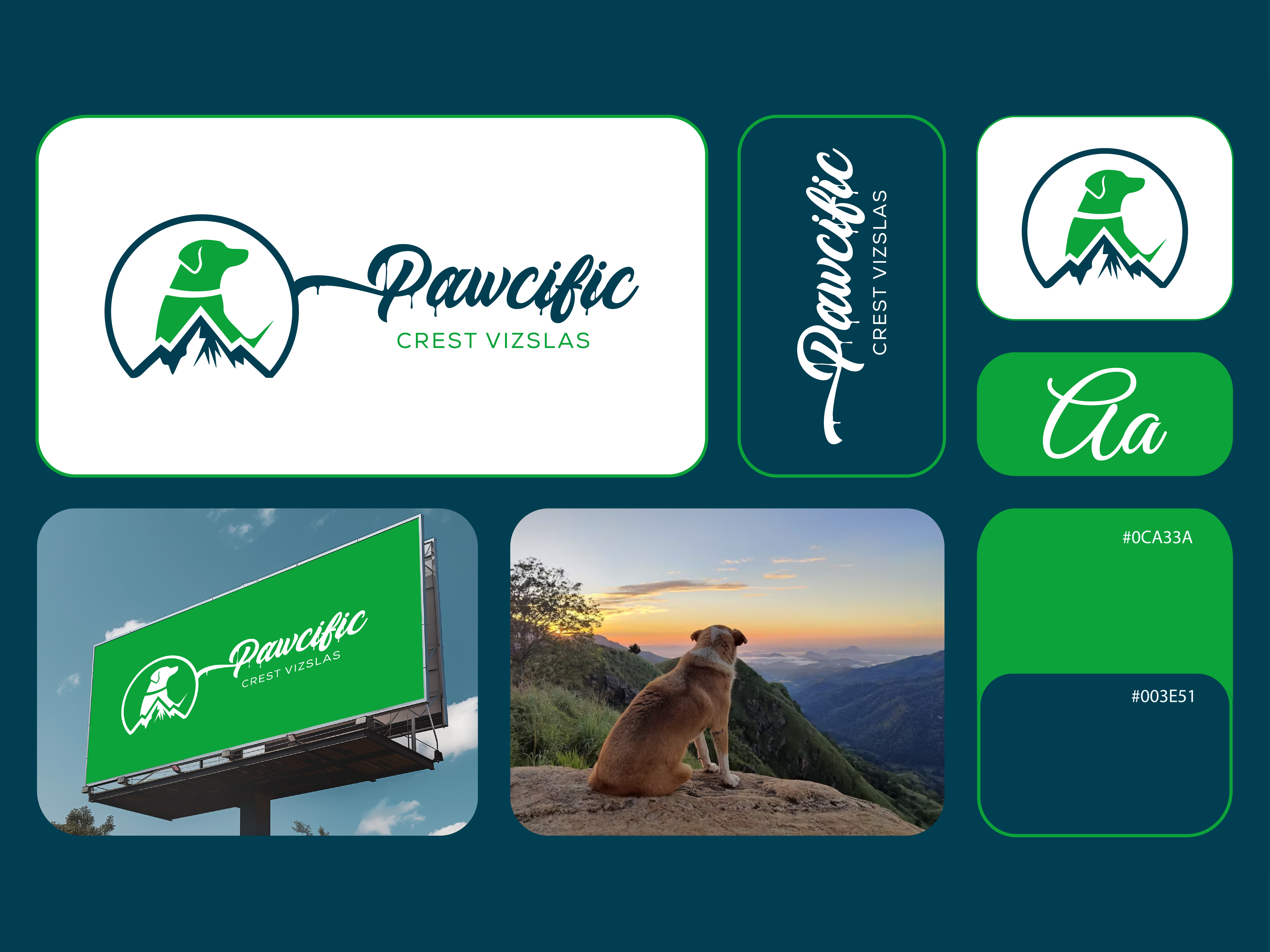 Example of Logo Design Build A Bold Brand Identity