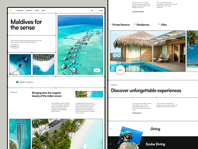 Maldives Resort design dine diving hotel island maldives minimal minimalist resort ui ux web design website wellness