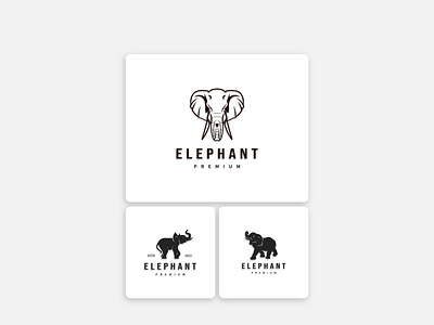 Elephant Premium – Elegant Wildlife Logo Collection tea