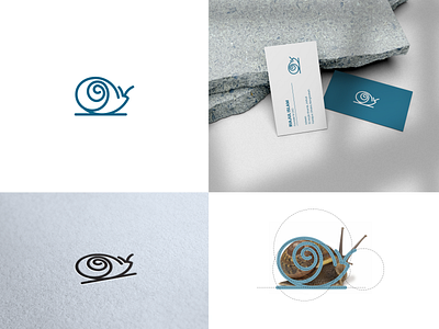 Snail Logo branding corporate branding design graphic design illustration logo logodesign vector