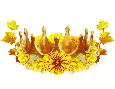 Crown of Flowers adobe boutique brand branding clothing company graphic design illustration logo logo design merch merchandise