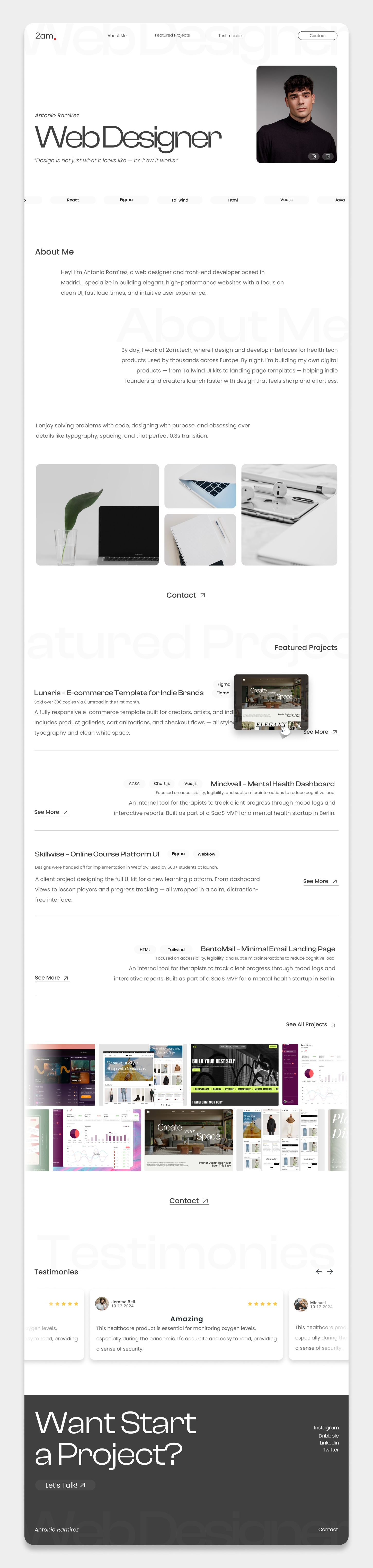 Example of Professional Web Design