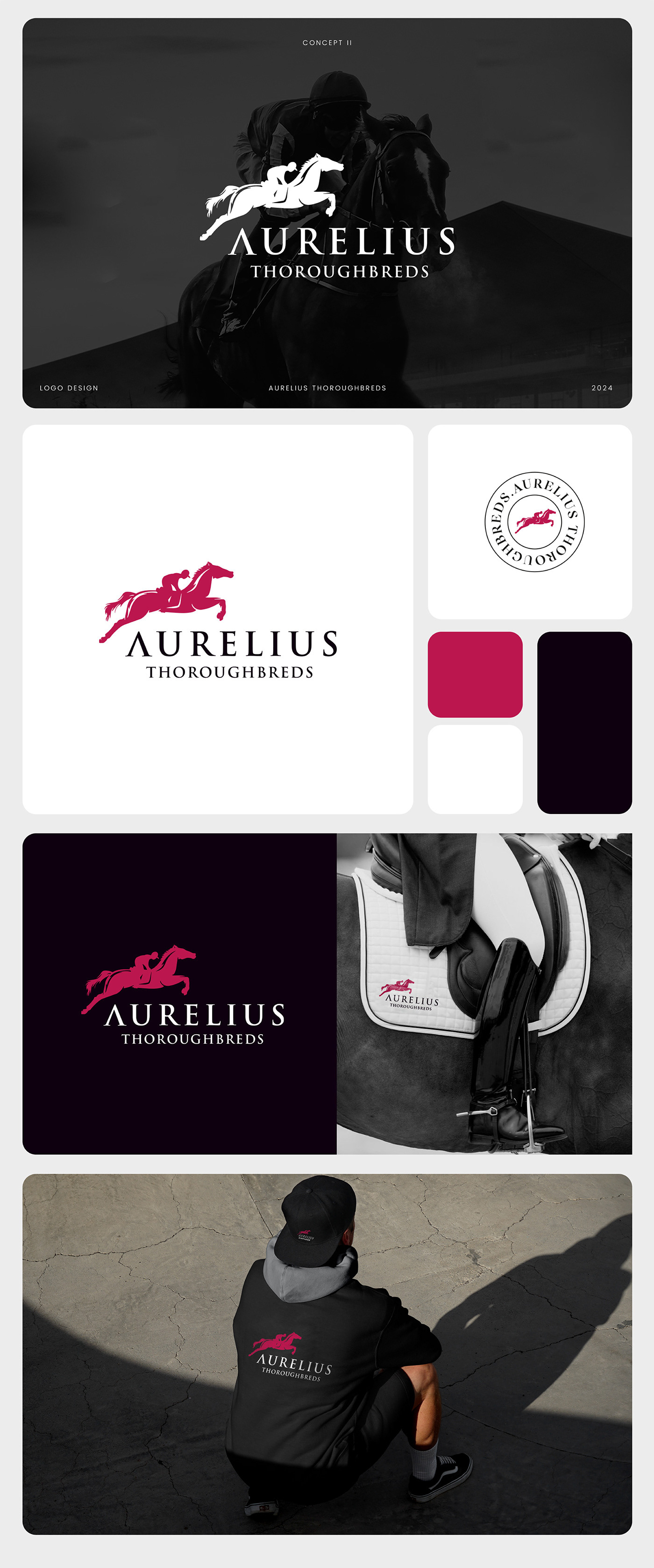 Aurelius - Brand Design 3d animation branding graphic design logo motion graphics ui