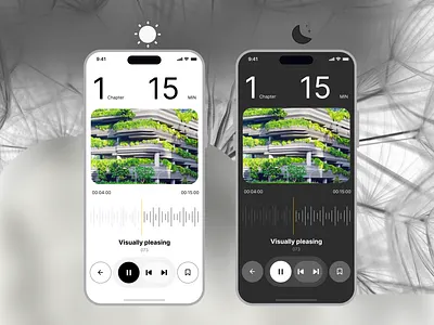 Design Daily #6: Dark and Light mode Audiobook Media Player app audiobook dark design light media player ui