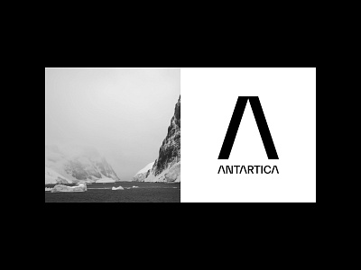 Antarctica art direction branding design layout typography ui website