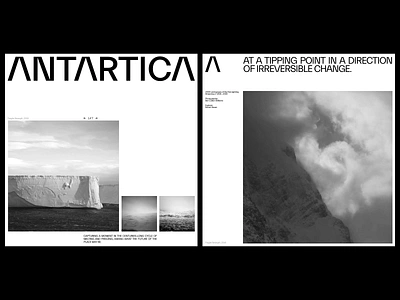 Antarctica art direction branding design layout typography ui website