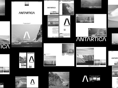 Antarctica art direction branding design layout typography ui website