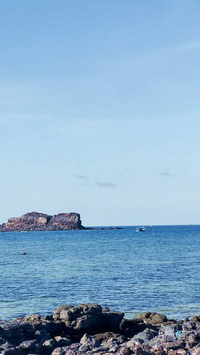 Họa tiết Hải Nguyệt