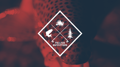 Tellico Outfitters branding camping fishing fly fly fishing logo mountains outdoors river simple tennessee vector
