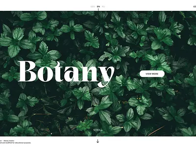 Botany - plant shop landing page design figma ui ux webdesign