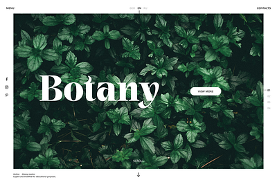 Botany - plant shop landing page design figma ui ux webdesign