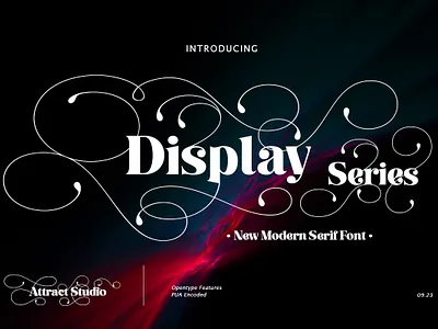 Display Series - Unique Font branding design display font font fonts free font graphic design illustration logo serif font typography