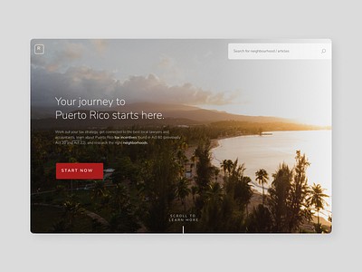 Puerto Rico Website Design: Landing Page: Home Page: UI animation branding design designs frontend guide landingpage motion graphics real estate ui uiux website website design