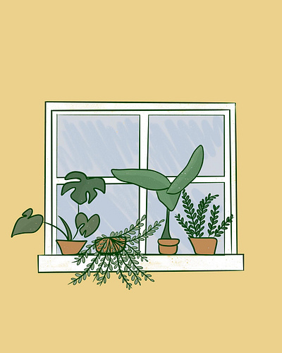 Happy Windowsill botanical cozy design illustration plant plants