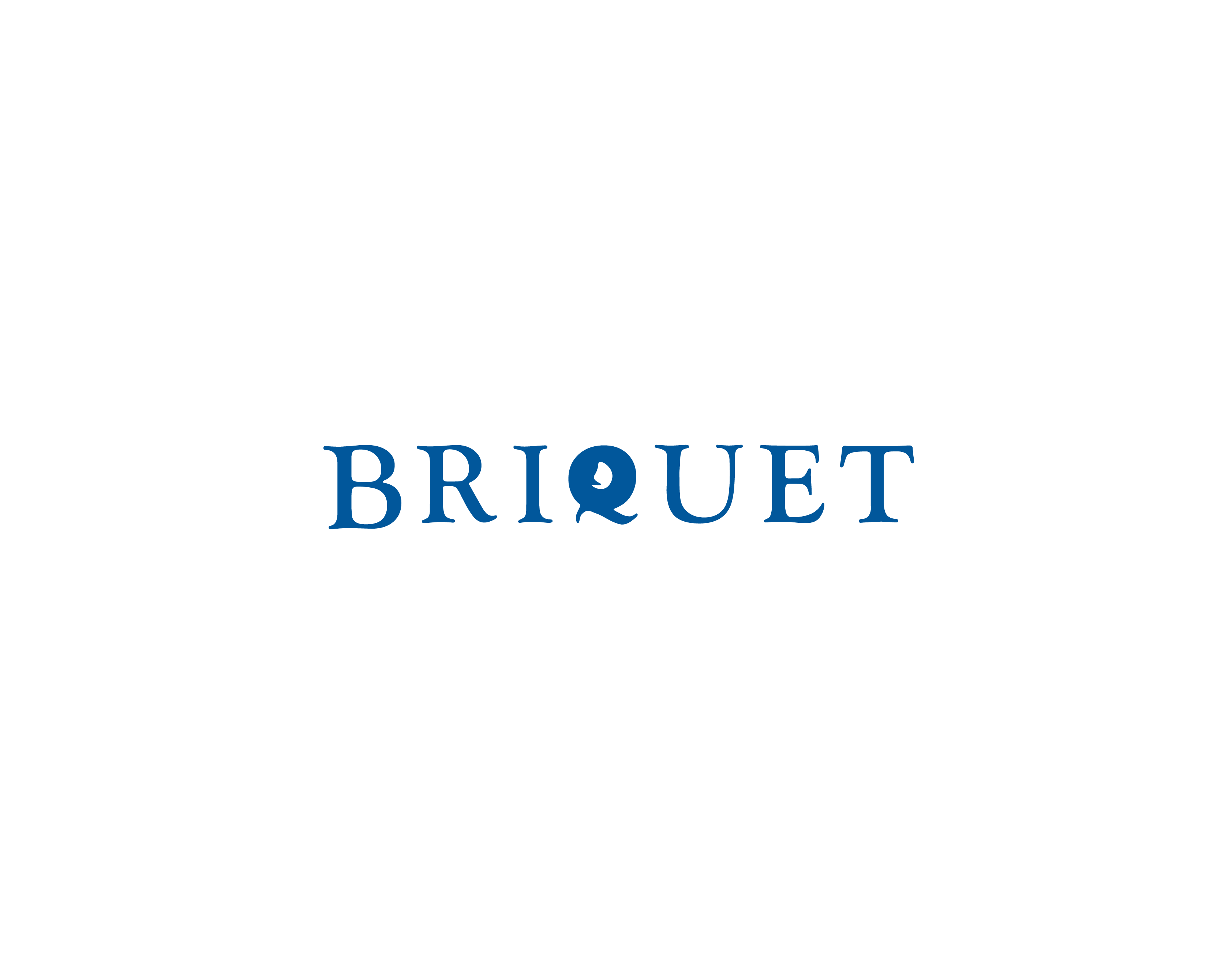 BRIQUET brand branding briquet graphic design identity langing page logo web web design