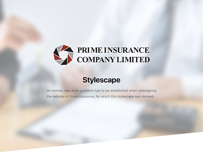 Prime Insurance (9/2022) branding design graphic design logo style guide stylescape typography