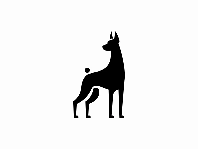 Black Dog Logo animation black dog logo branding motion graphics