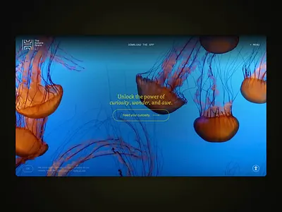 The Humane Space animation app beautiful develop development grow health mind photography video webflow