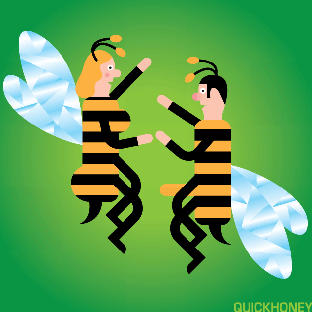 Bee Life animation bees branding design humor illustration life quickhoney wimpsical