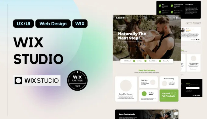Example of Wix Website Design/Redesign
