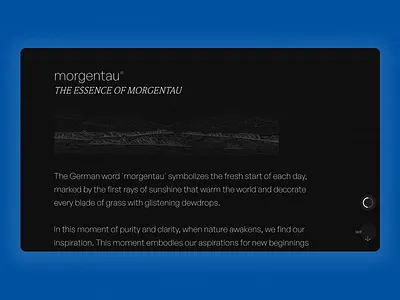 morgentau® | Our Story webflow webflow agency webflow agency website webflow website