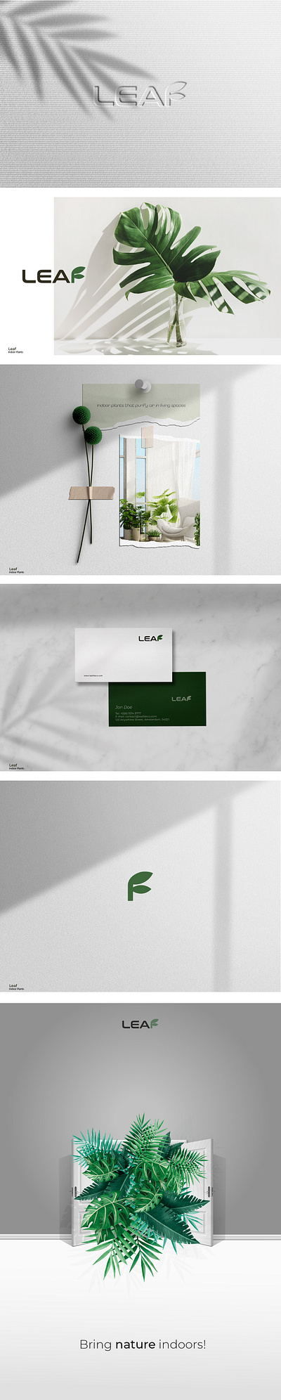 Leaf - Indoor Plants branding design graphic design logo logodesign typography