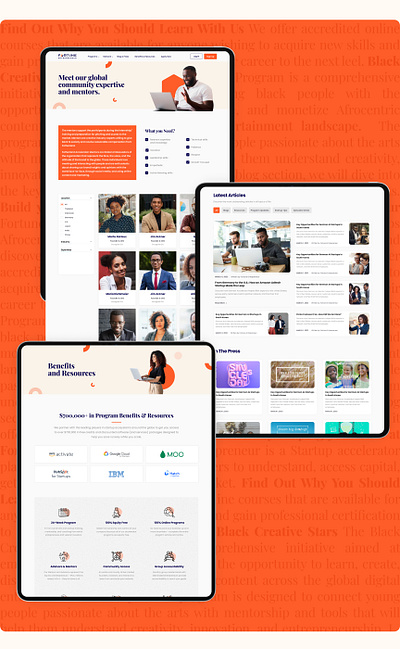 FORTUNE ENTREPRENEUR - UI DESIGN landing page ui uxui website design
