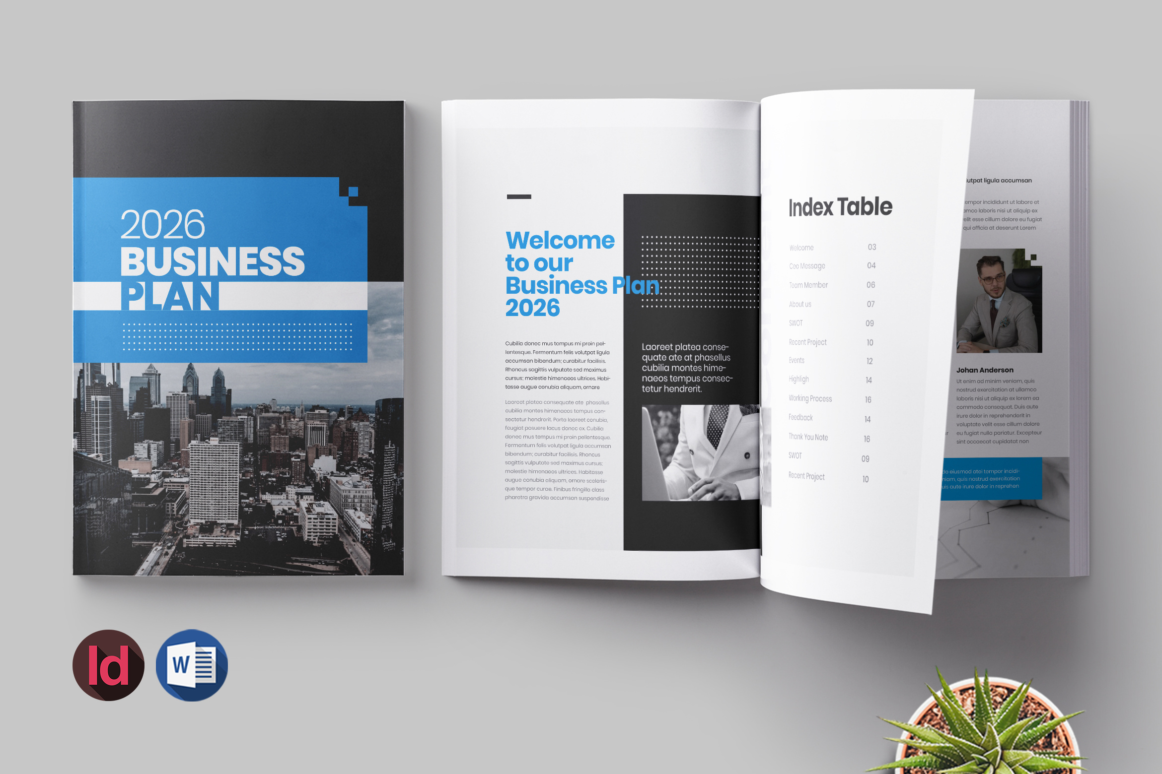 Business Plan annual brochure business business plan clean company creative graphic design modern plan profile report template