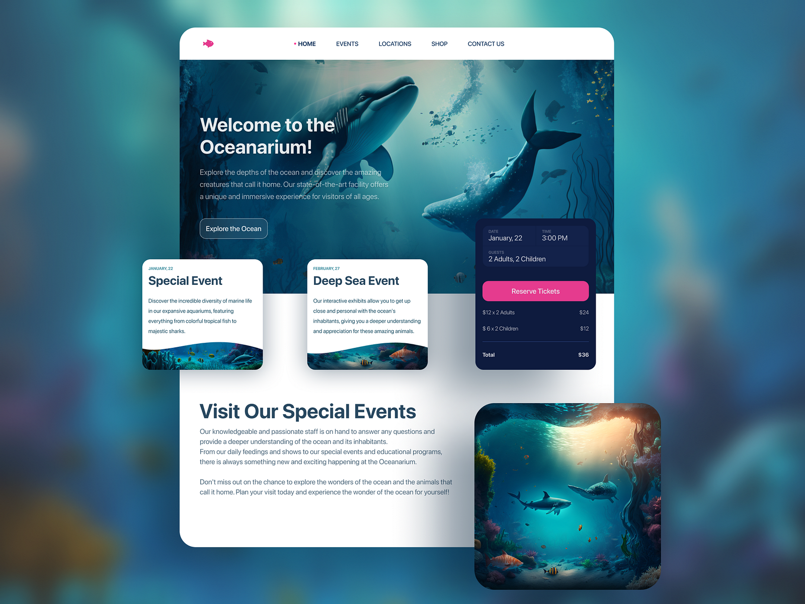 Oceanarium Website Design by Ralabs Design on Dribbble