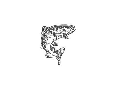 Salmon for «Hame» pate branding engraving etching fish illustration label pen and ink salmon vector engraving woodcut