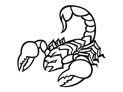 Desert Scorpion western scorpion desertscorpion