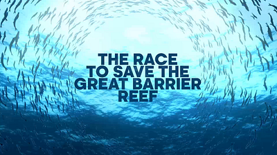 BBC - Barrier Reef 3d anim branding graphic design motion graphics titles