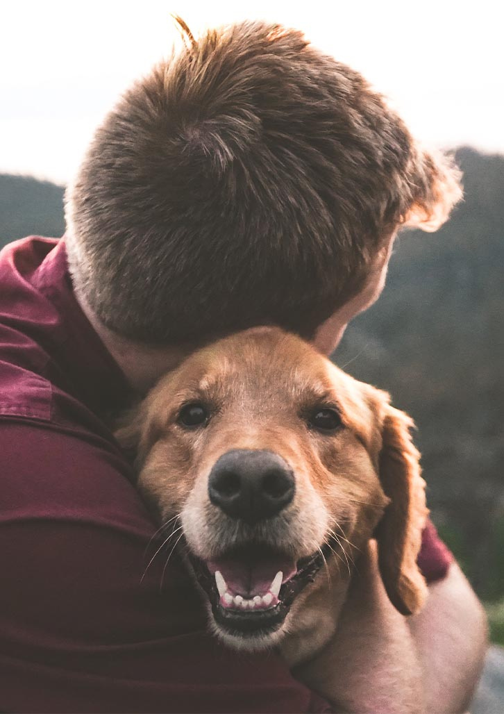 Strategic Branding brand identity branding strategic branding