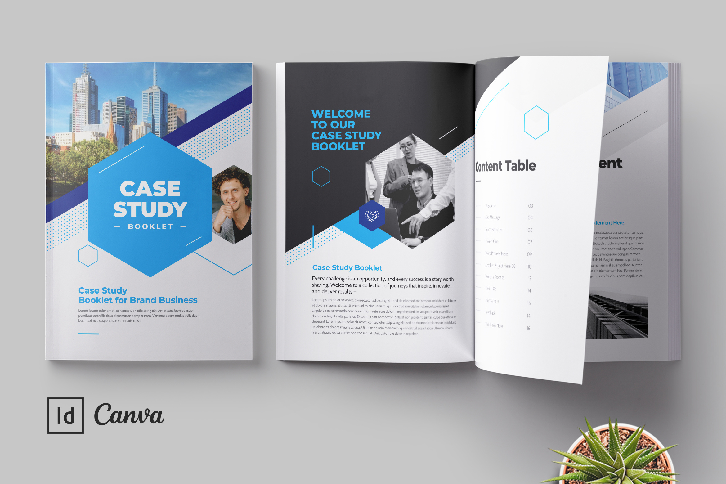 Case Study Booklet Template agency