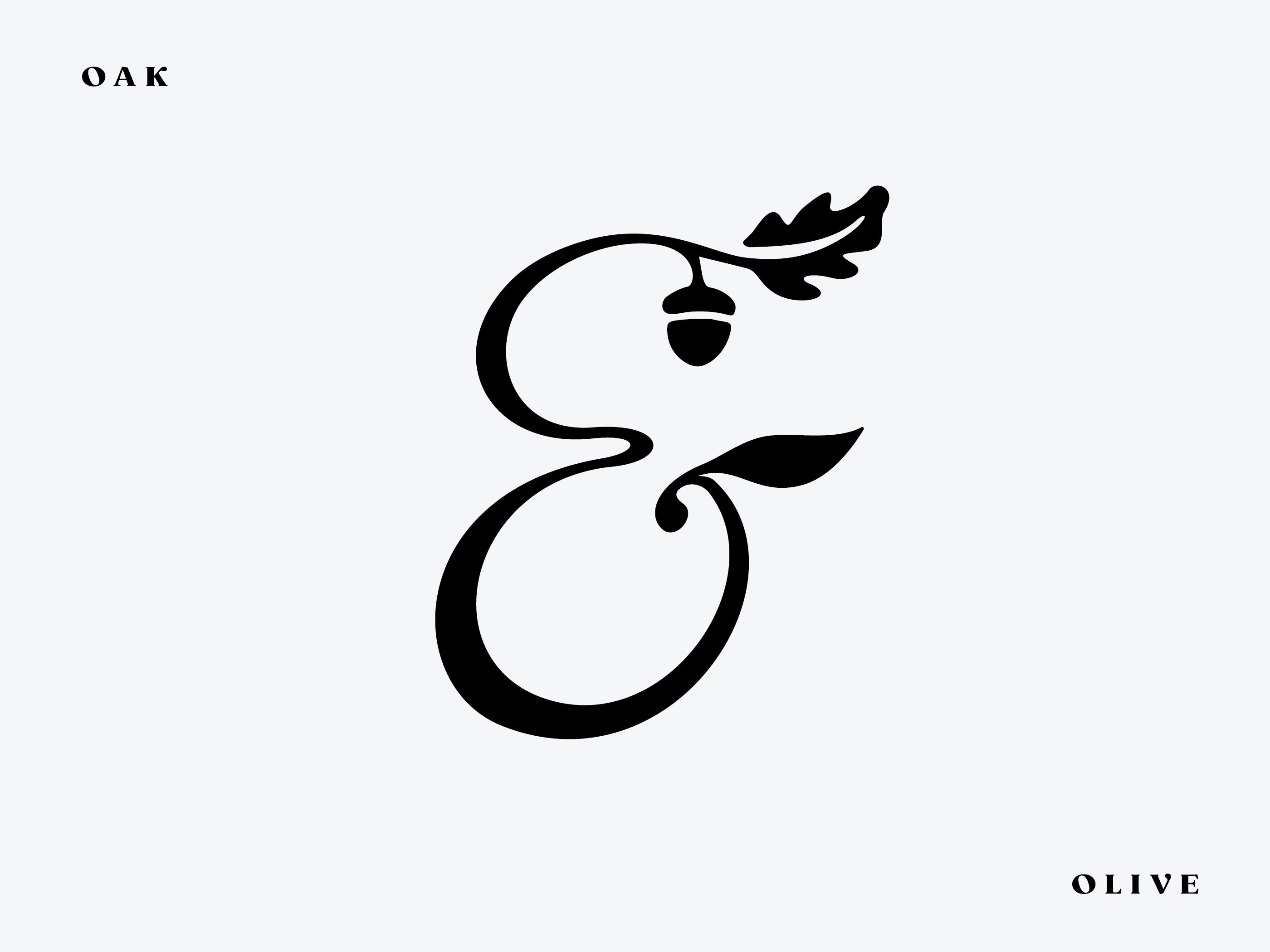 ampersand (oak & olive) abstract ampersand branding brandmark design lettering logo logotype oak olive wordmark
