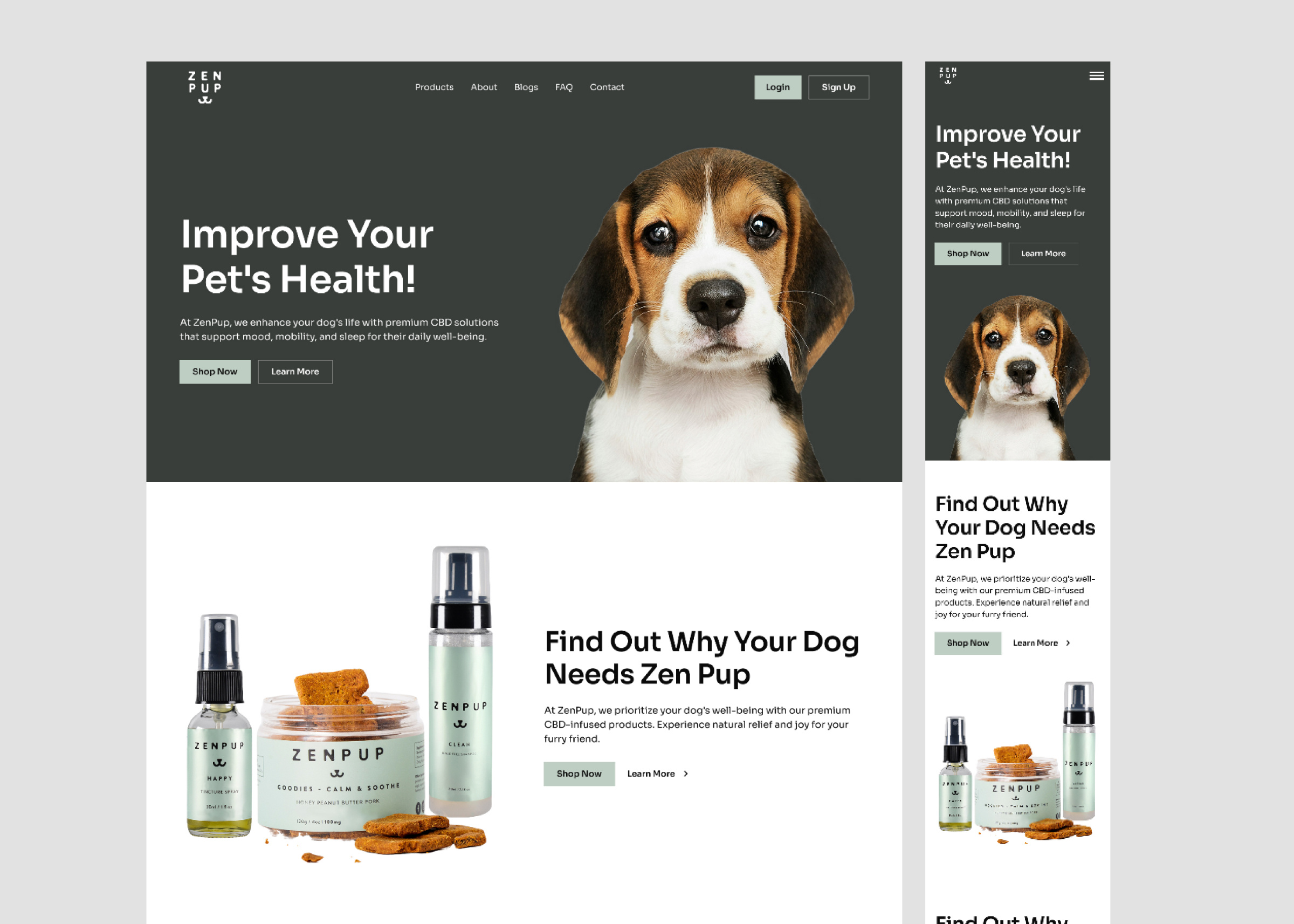 Example of Web Design + Webflow Development