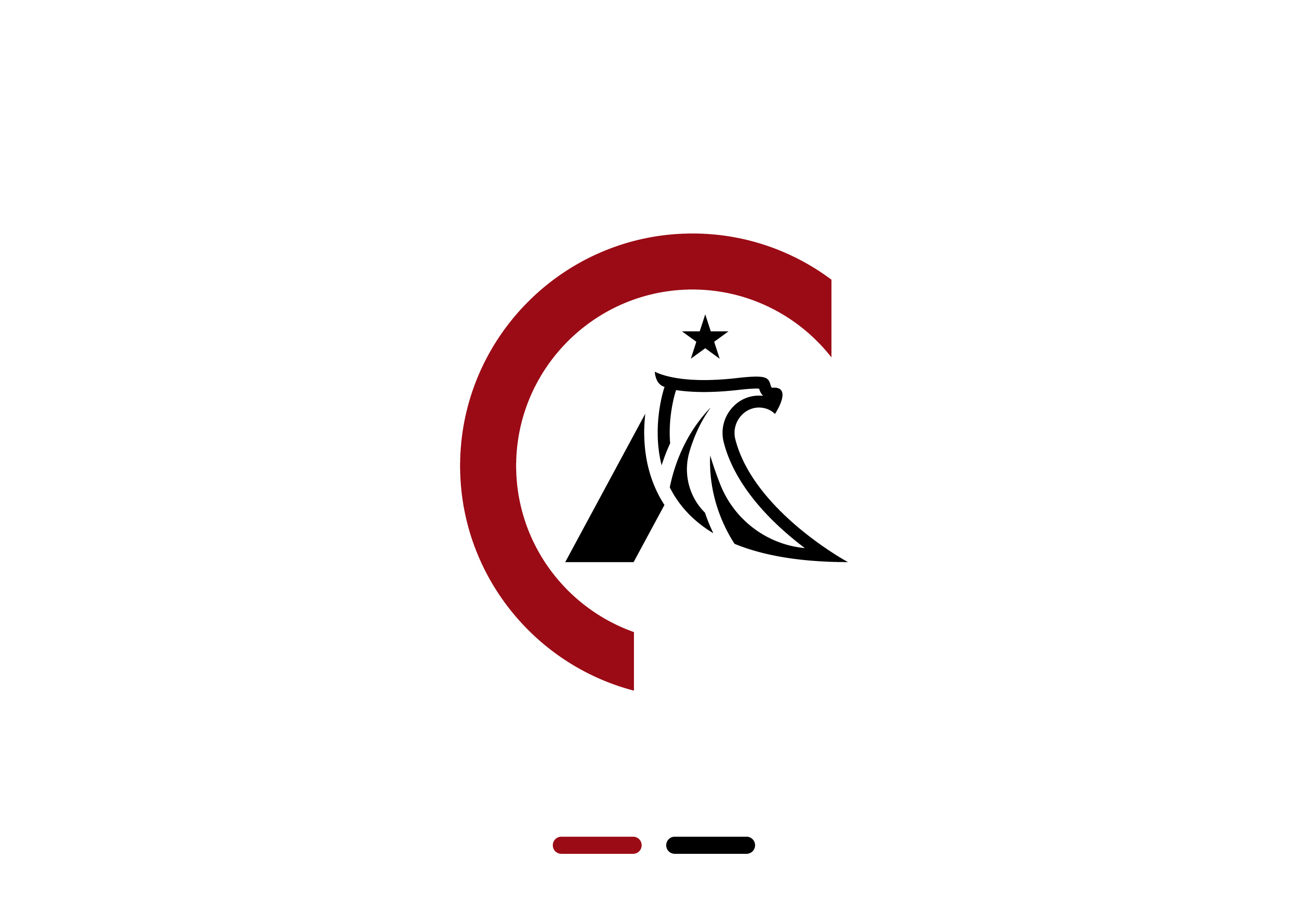 Alpha Eagle branding designer graphic design illustration logo