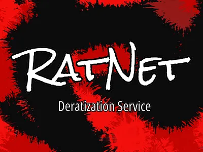 Title & Story arc app branding design graphic design illustration