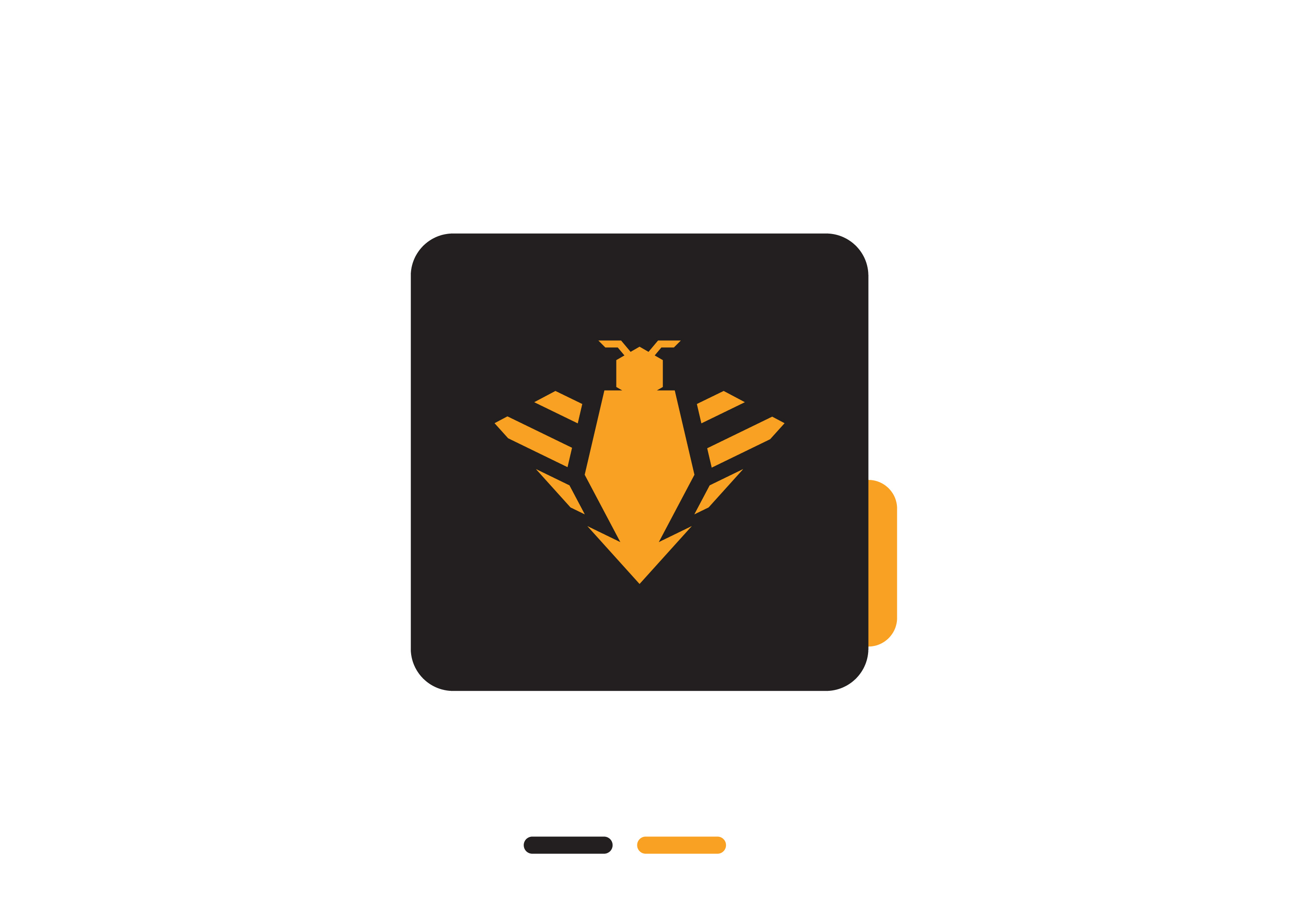 BeeDiamond Jewelry branding designer graphic design logo vector