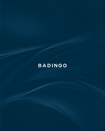 Brand Identity | Badingo Global timeless design