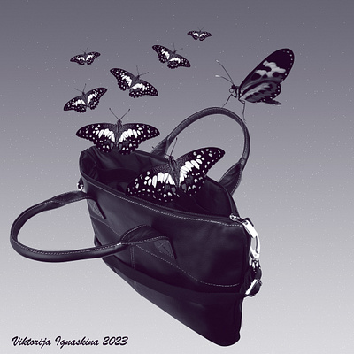 Composition Butterfly photo photography photoshop
