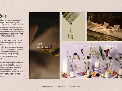 Lumina adobe illustrator brand book brand design brand guidelines brand identity branding design design inspiration graphic design guidelines illustration illustrator imagery nature inspired photoshop vector visual identity
