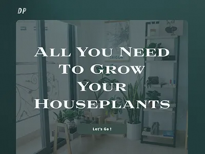 Diagnoph(f)yta website. [full web design if interested] design product design ui ux design web design