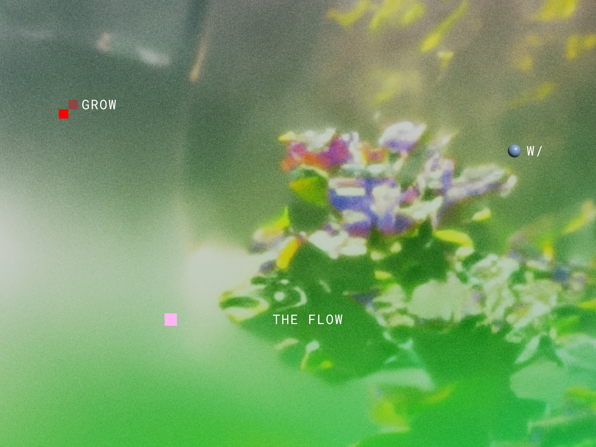 Webflow Conf 2022 – Grow with the 'Flow room branding design graphic design interior design lighting projection typography vector