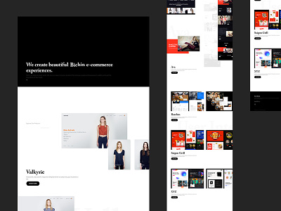 Bichin Website business design shopify template visual design web