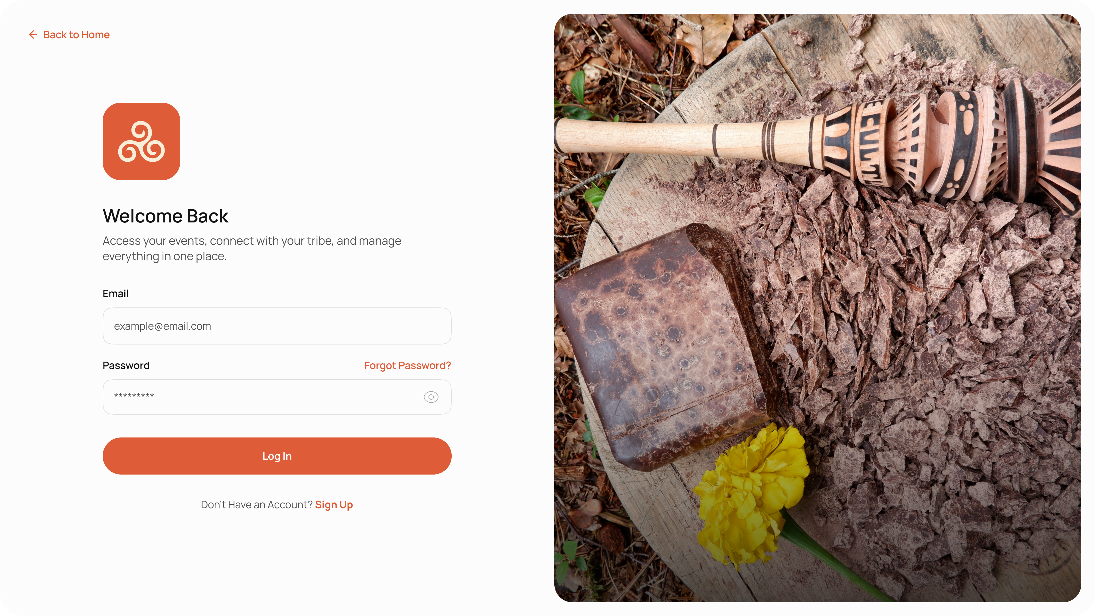 Triber | Log In design figma ui ux