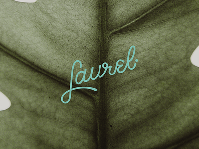 Laurel Logo branding graphic design icon illustrator lettering logo vector